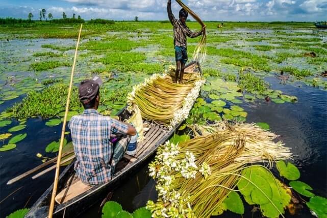 আড়িয়াল বিল | Arial Bil