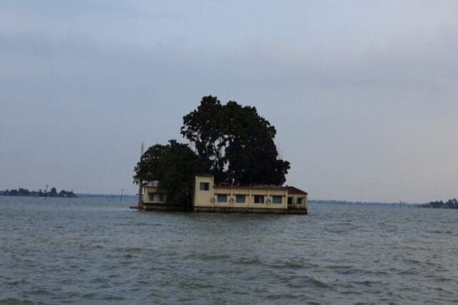 হালতির বিল | Halti Beel
