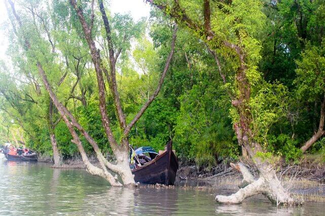 টেংরাগিরি ইকোপার্ক | Tengra Giri Eco Park