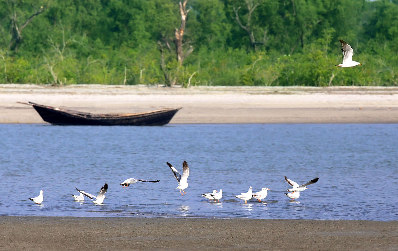 কুয়াকাটা | Kuakata