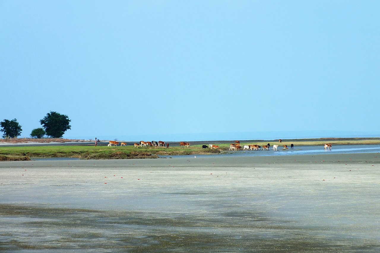সোনার চর |  Sonar Char