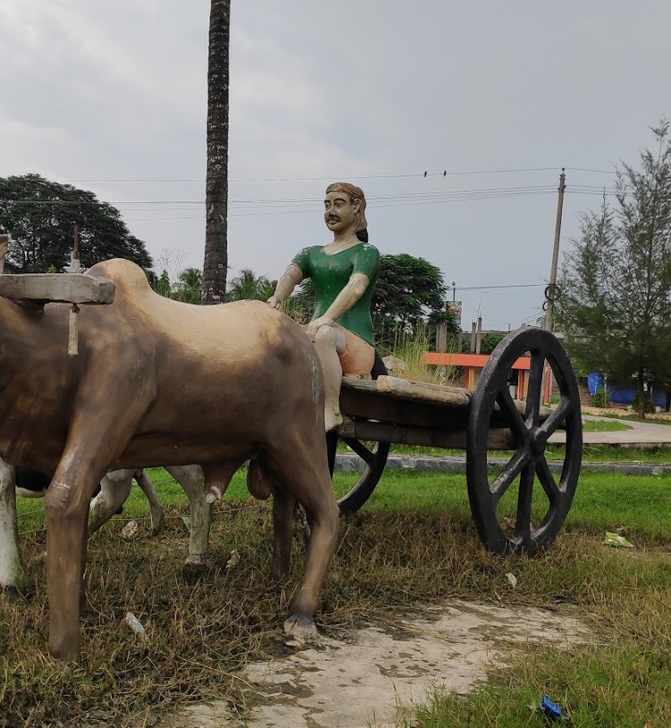 ভান্ডারিয়া শিশু পার্ক | Bhandaria Shishu Park