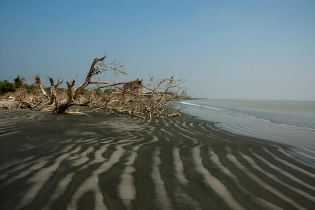 কচিখালী সমুদ্র সৈকত | Kochikhali Sea Beach