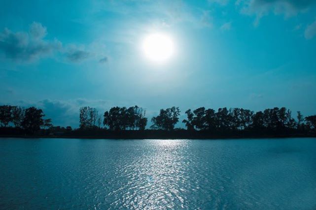 বিজয় সিংহ দিঘী  | Bijoy Singh Dighi