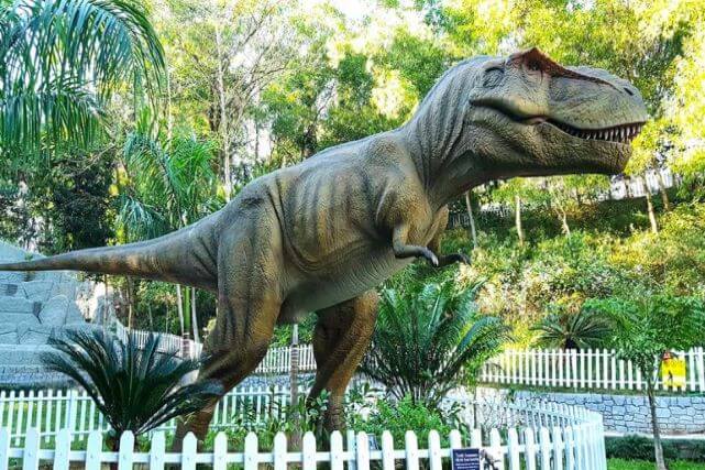 ডাইনো পার্ক কুমিল্লা  | Dino Park Comilla
