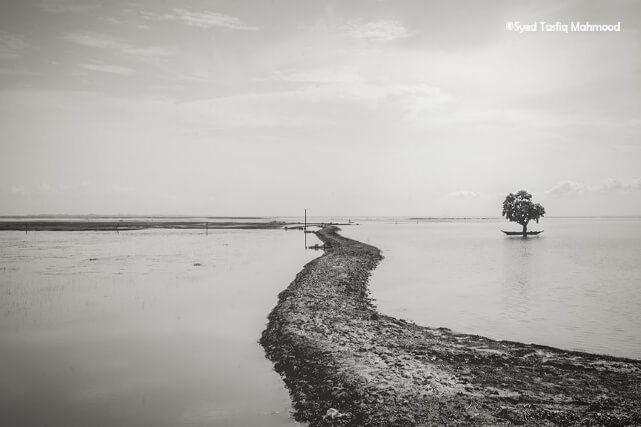 হাকালুকি হাওর | Hakaluki Haor