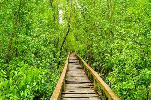 হরিণঘাটা ইকো পার্ক | Haringhata Eco Park