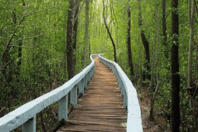 করমজল পর্যটন কেন্দ্র | Karamjal Tourism Center